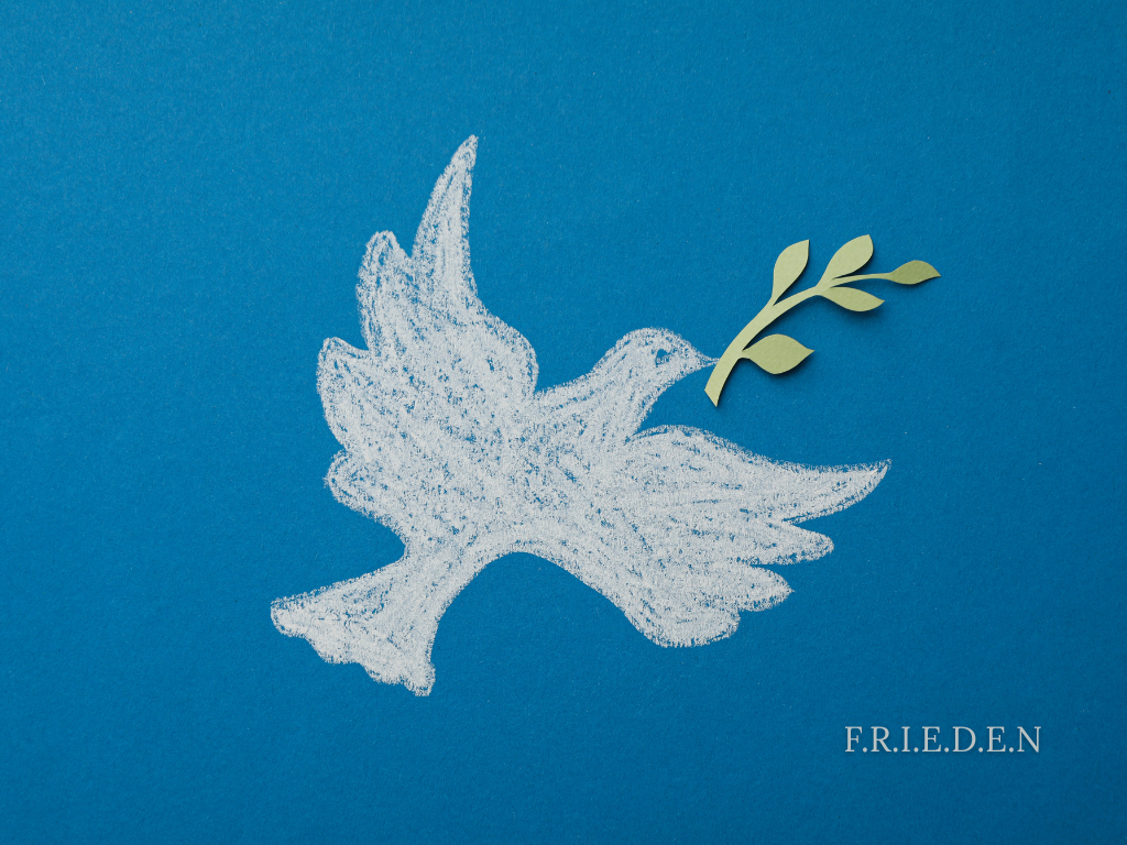 F.R.I.E.D.E.N Stell dir vor es ist Krieg und keiner geht hin